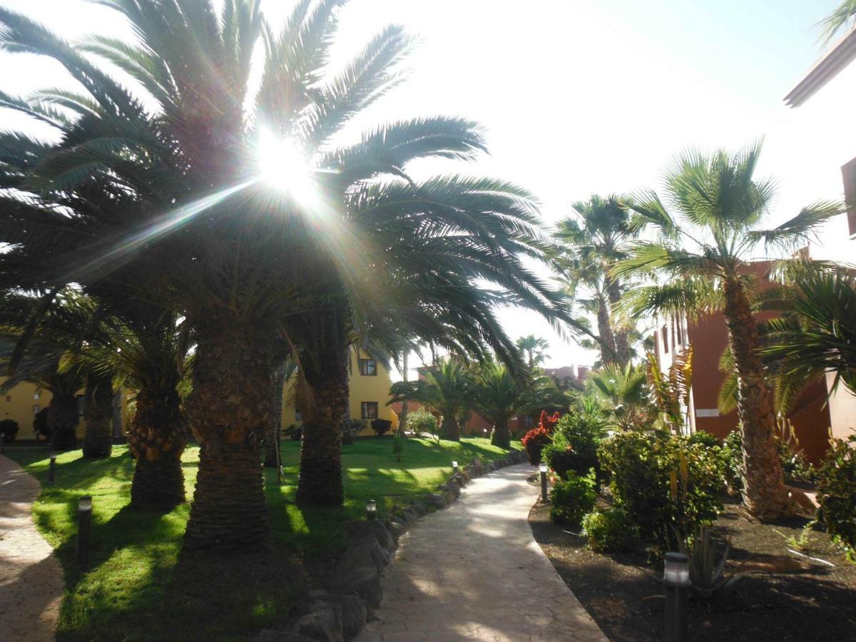 Oasis Vistamar Διαμέρισμα Κοραλέχο Εξωτερικό φωτογραφία